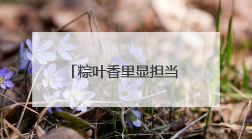 粽叶香里显担当 重症救治护安康