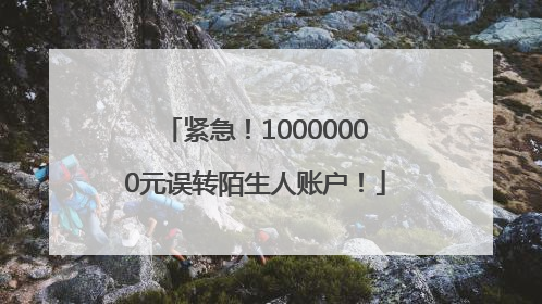 紧急！10000000元误转陌生人账户！