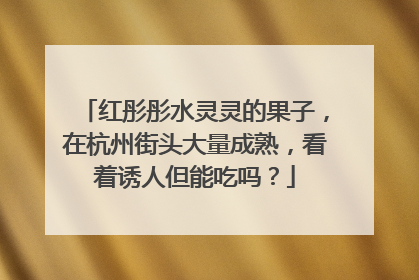 红彤彤水灵灵的果子，在杭州街头大量成熟，看着诱人但能吃吗？