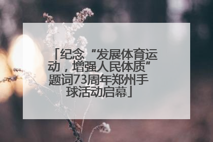 纪念“发展体育运动，增强人民体质”题词73周年郑州手球活动启幕