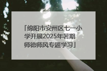 绵阳市安州区七一小学开展2025年暑期师德师风专题学习