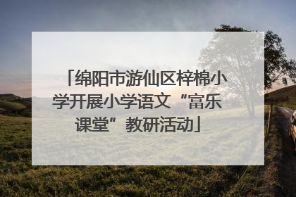 绵阳市游仙区梓棉小学开展小学语文“富乐课堂”教研活动