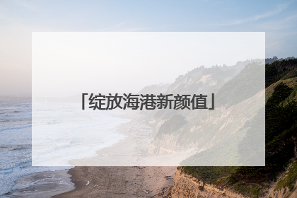 绽放海港新颜值