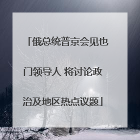 俄总统普京会见也门领导人 将讨论政治及地区热点议题