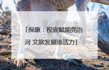 保康：税宣赋能尧治河 文旅发展添活力