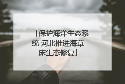 保护海洋生态系统 河北推进海草床生态修复