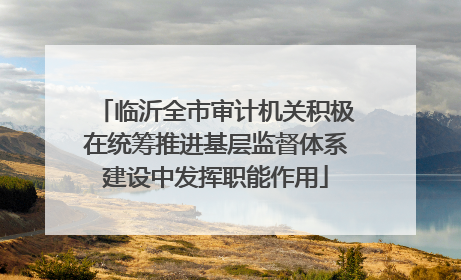 临沂全市审计机关积极在统筹推进基层监督体系建设中发挥职能作用