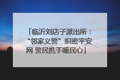 临沂刘店子派出所：“邻家义警”织密平安网 警民携手暖民心