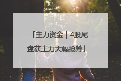 主力资金｜4股尾盘获主力大幅抢筹