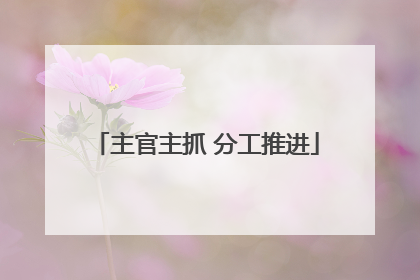 主官主抓 分工推进