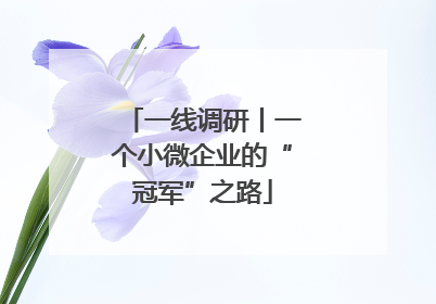 一线调研丨一个小微企业的“冠军”之路