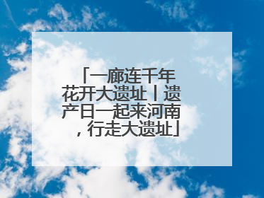 一廊连千年 花开大遗址丨遗产日一起来河南，行走大遗址