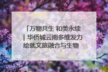 万物共生 和美永续｜华侨城云南多维发力 绘就文旅融合与生物多样性保护新图景