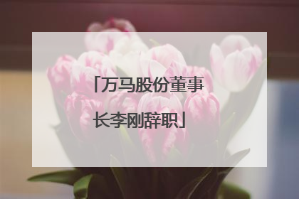 万马股份董事长李刚辞职