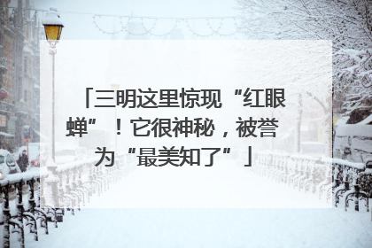 三明这里惊现“红眼蝉”！它很神秘，被誉为“最美知了”