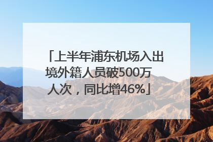 上半年浦东机场入出境外籍人员破500万人次，同比增46%