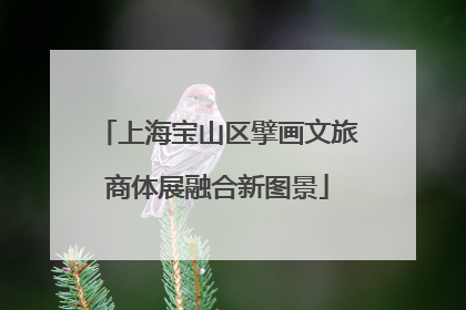 上海宝山区擘画文旅商体展融合新图景