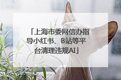 上海市委网信办指导小红书、B站等平台清理违规AI