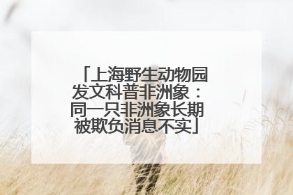 上海野生动物园发文科普非洲象：同一只非洲象长期被欺负消息不实