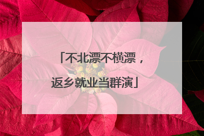 不北漂不横漂，返乡就业当群演