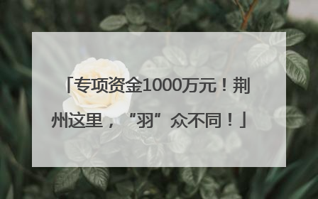 专项资金1000万元！荆州这里，“羽”众不同！