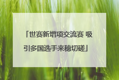 世赛新增项交流赛 吸引多国选手来穗切磋