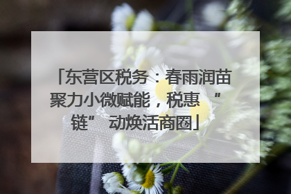 东营区税务：春雨润苗聚力小微赋能，税惠 “链” 动焕活商圈