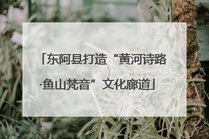 东阿县打造“黄河诗路·鱼山梵音”文化廊道