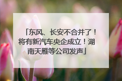 东风、长安不合并了！将有新汽车央企成立！湖南天雁等公司发声