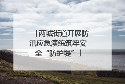 两城街道开展防汛应急演练筑牢安全“防护堤”