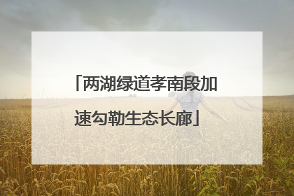 两湖绿道孝南段加速勾勒生态长廊