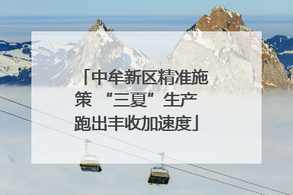 中牟新区精准施策 “三夏”生产跑出丰收加速度