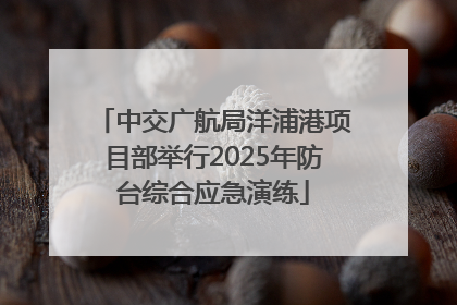 中交广航局洋浦港项目部举行2025年防台综合应急演练