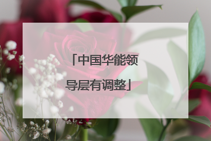 中国华能领导层有调整