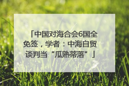 中国对海合会6国全免签，学者：中海自贸谈判当“瓜熟蒂落”