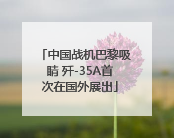 中国战机巴黎吸睛 歼-35A首次在国外展出
