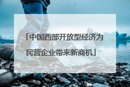 中国西部开放型经济为民营企业带来新商机