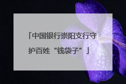 中国银行崇阳支行守护百姓“钱袋子”