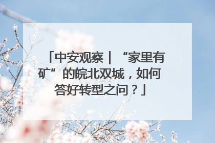 中安观察｜“家里有矿”的皖北双城，如何答好转型之问？