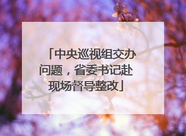 中央巡视组交办问题，省委书记赴现场督导整改