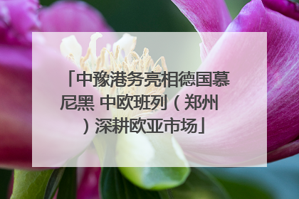 中豫港务亮相德国慕尼黑 中欧班列（郑州）深耕欧亚市场