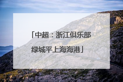 中超：浙江俱乐部绿城平上海海港