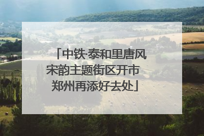 中铁·泰和里唐风宋韵主题街区开市 郑州再添好去处