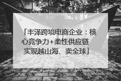 丰泽跨境电商企业：核心竞争力+柔性供应链 实现越山海、卖全球