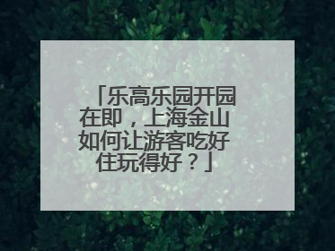 乐高乐园开园在即，上海金山如何让游客吃好住玩得好？