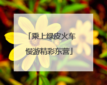 乘上绿皮火车 慢游精彩东营