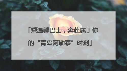 乘温馨巴士，奔赴属于你的“青岛阿勒泰”时刻