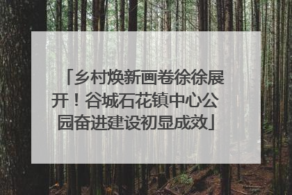 乡村焕新画卷徐徐展开！谷城石花镇中心公园奋进建设初显成效