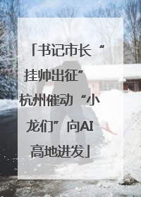 书记市长“挂帅出征” 杭州催动“小龙们”向AI高地进发