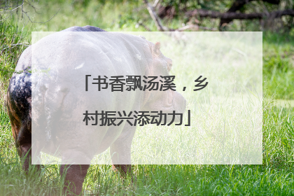 书香飘汤溪，乡村振兴添动力